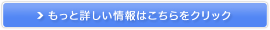 ߂[̍̔TCg